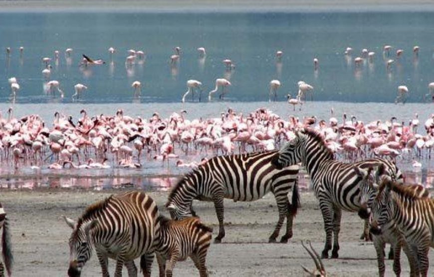 Lake Nakuru National Park