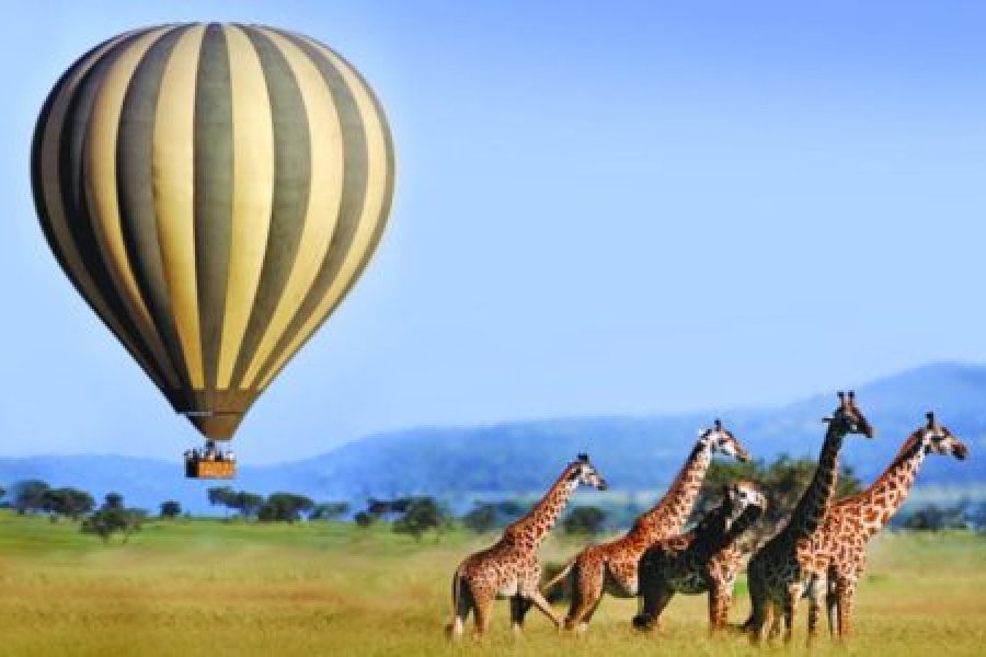 Amboseli Balloon Safari Africa Veterans Safaris