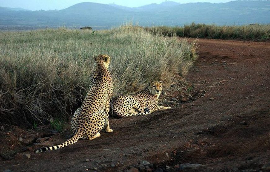 Marsabit National Park