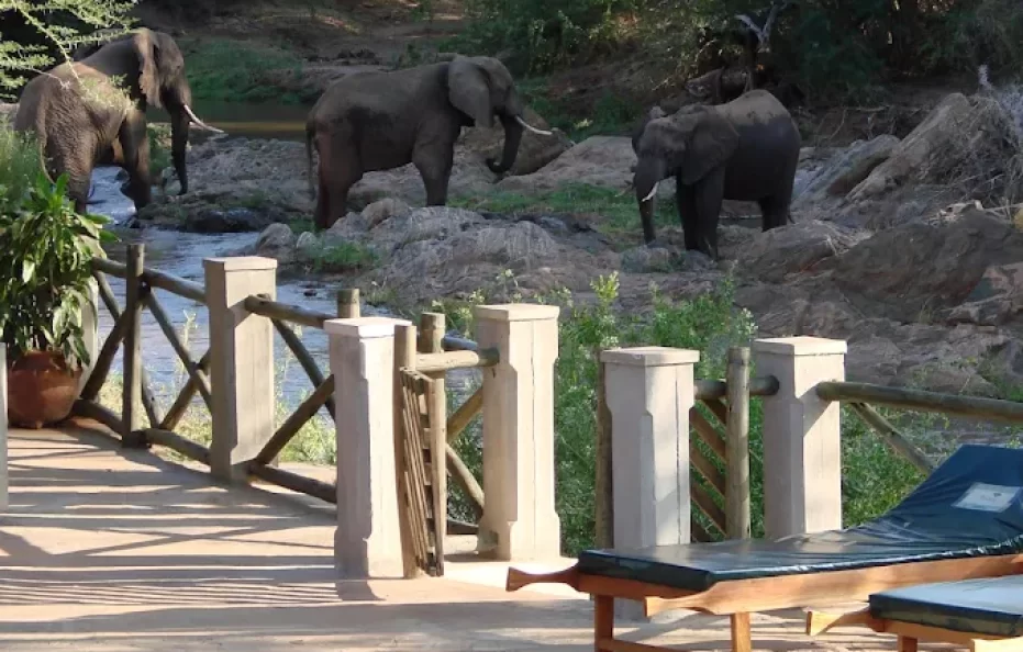 Man Eaters Camp Luxury Tents