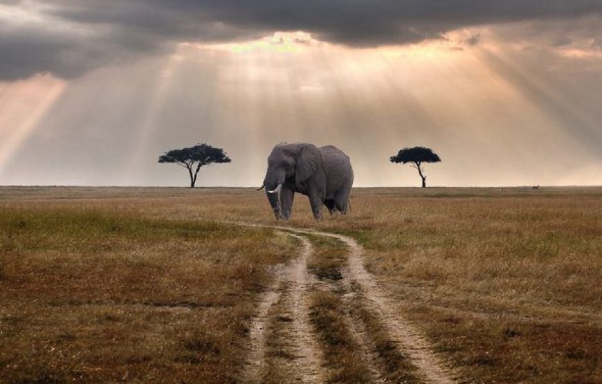 Marsabit National Park