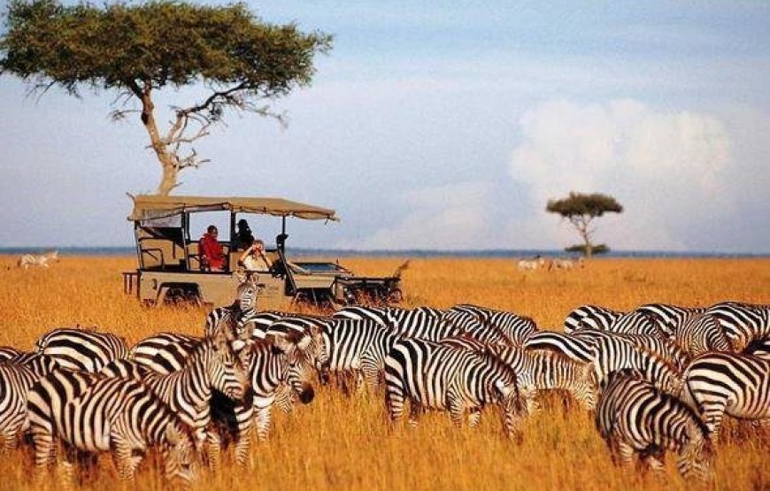 Masai Mara National Reserve