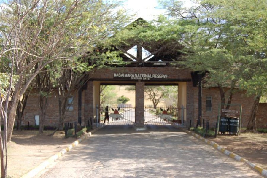 Masai Mara National Reserve Africa Veterans Safaris