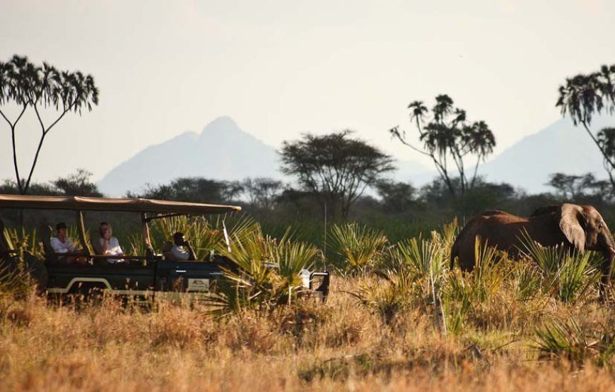 Meru National Park