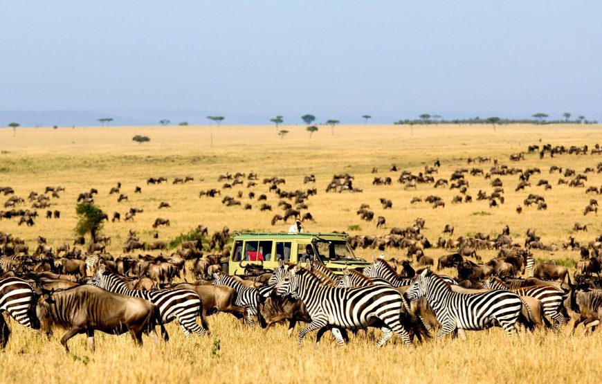 Serengeti National Park