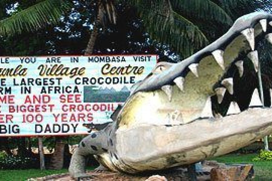 Mamba Village Africa Veterans Safaris