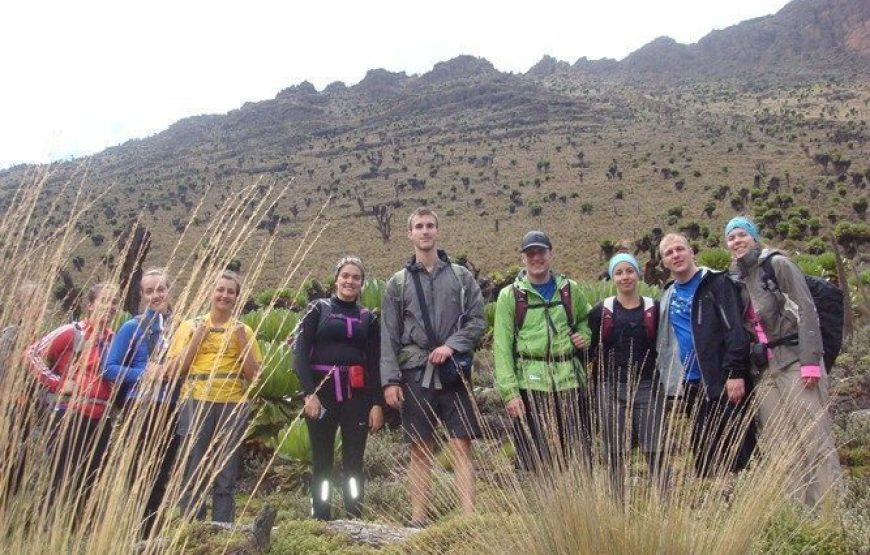7 Days MT Kenya Climbing, Timau – Chogoria Route