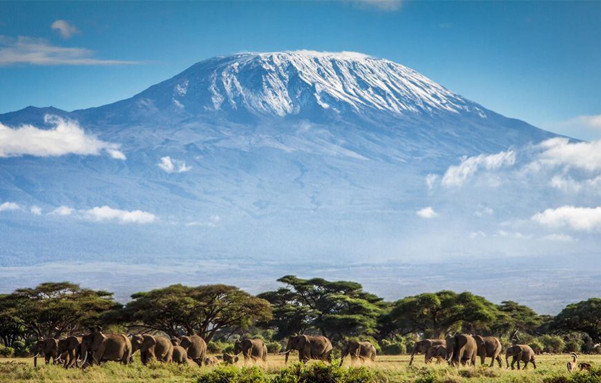 Mt Kilimanjaro