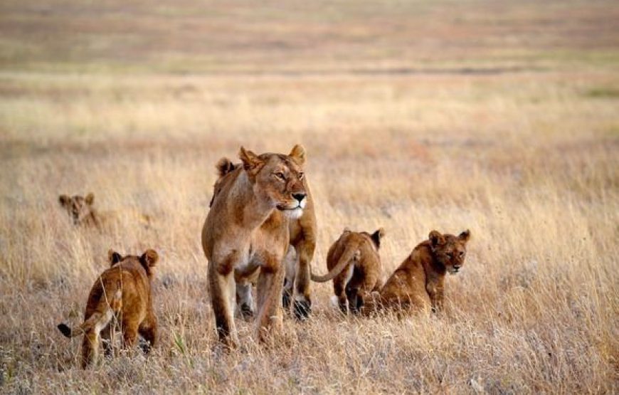 Serengeti National Park
