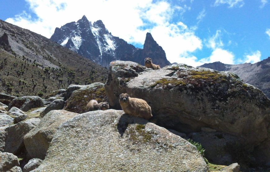 Mt Kenya Climb Chogoria Route Out Naru Moru Gate