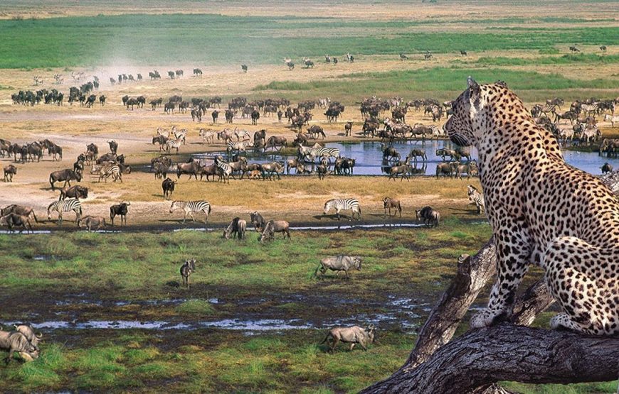 7 Days 6 Nights Lodge and Camping Safari, Tanzania.