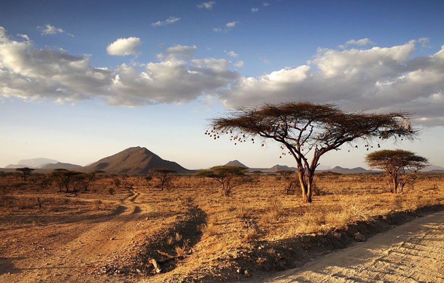 Samburu National Reserve