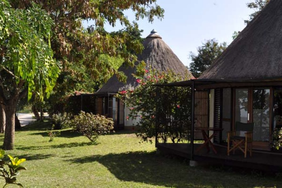 11Days and 10Nights  Kenya and Tanzania safari Africa Veterans Safaris