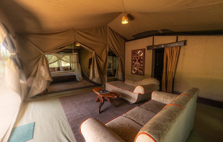 Rhino Lodge Room