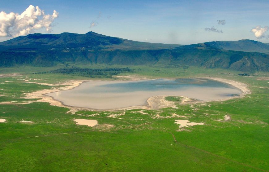 Excellent 7 Days 6 Nights Tanzania Zanzibar Wildlife and Beach Safari