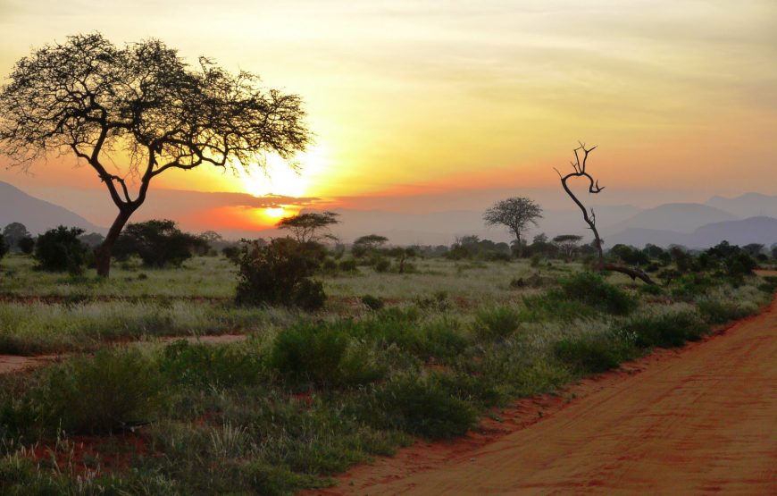 Tsavo East National Park