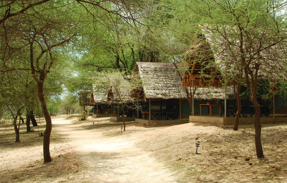 Tarangire Safari Lodge