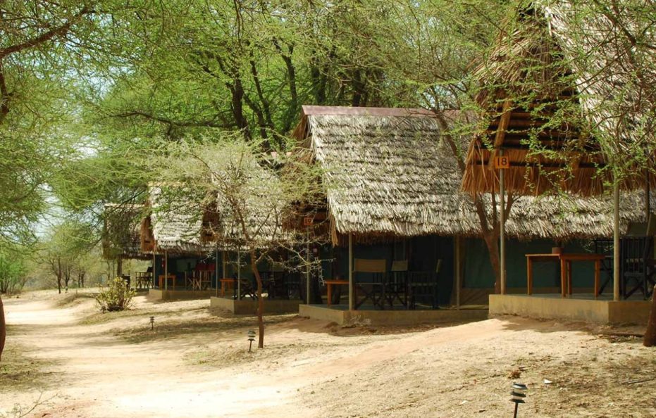Tarangire Safari Lodge