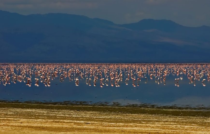 Lake Manyara National Park
