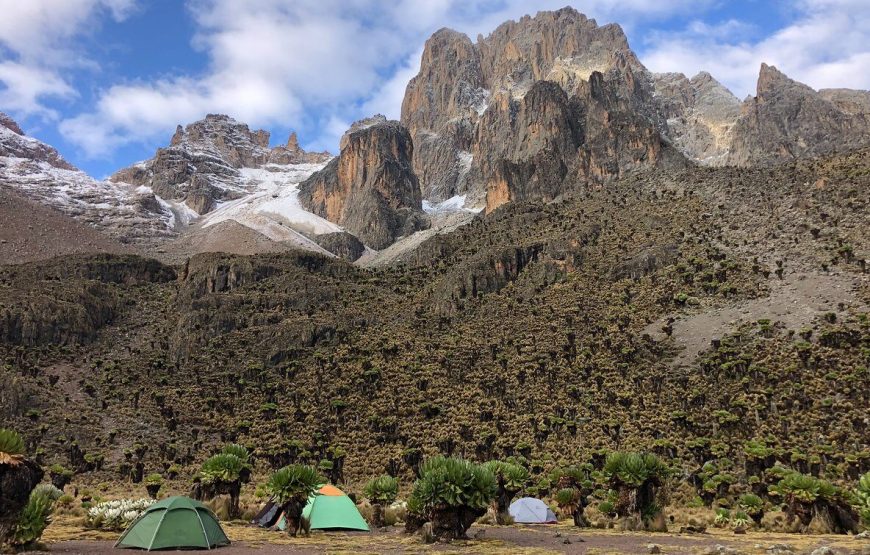 Mt Kenya National Park – For Trekking