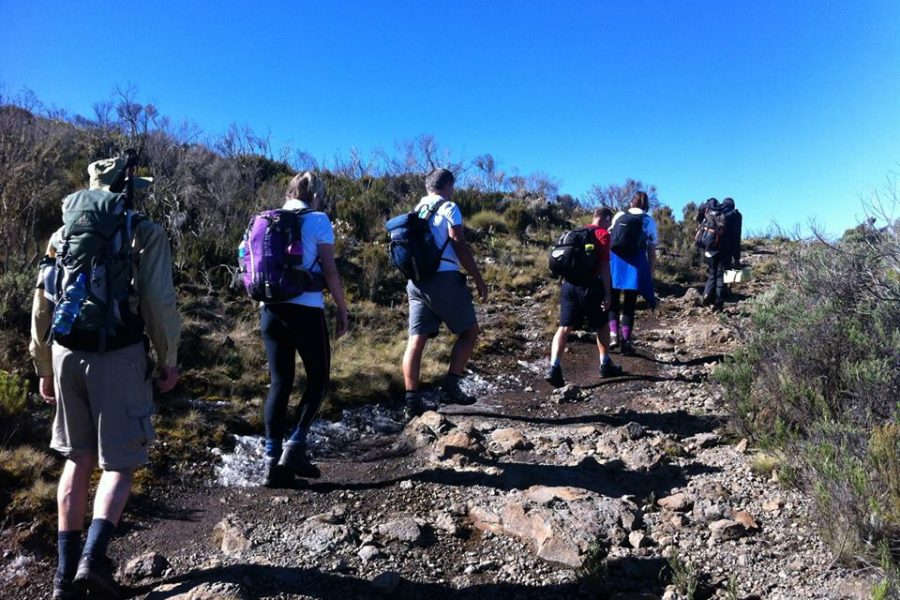 Mt Kenya Climb Sirimon Route Africa Veterans Safaris