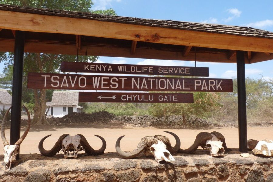 Tsavo National Park Africa Veterans Safaris