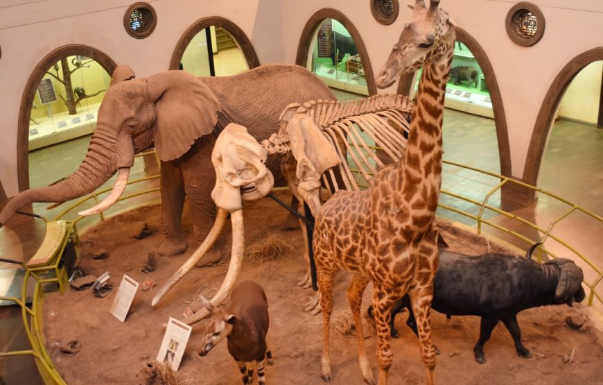 Nairobi National Museum