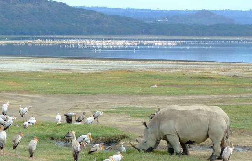 9 Days 8 Nights Kenya Tanzania Safari