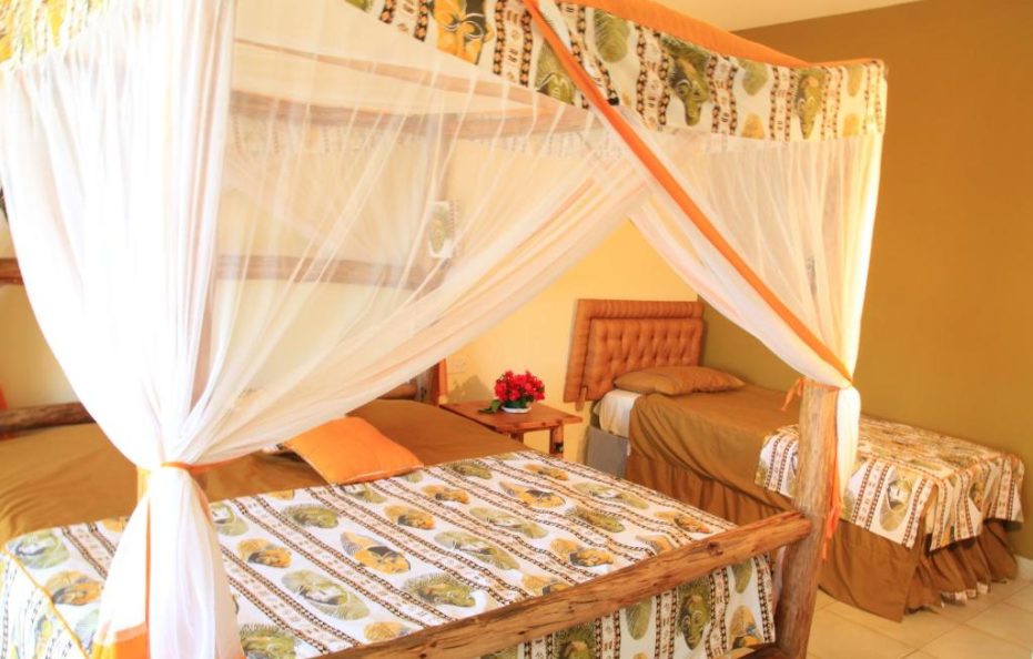Voi Wildlife Lodge Rooms