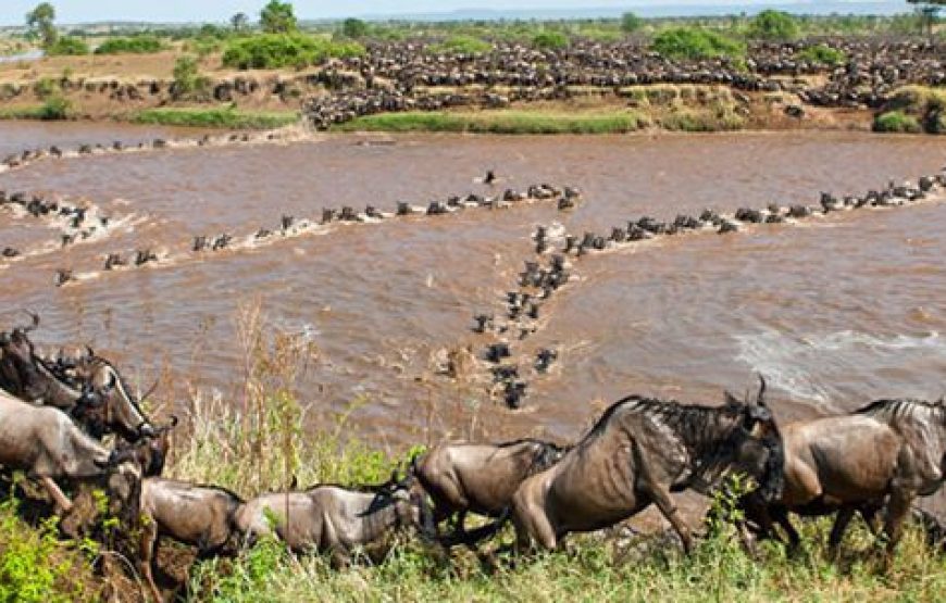 Serengeti National Park