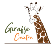 Logo Design Giraffe Centre