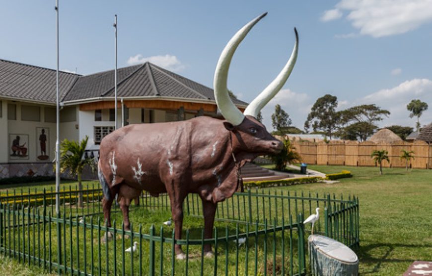 7 Days One Amazing African Week