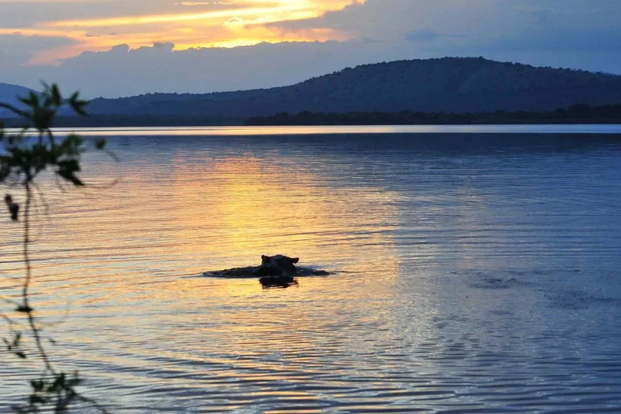 6 Days Lake Mburo National Park and Bwindi Gorilla Safari