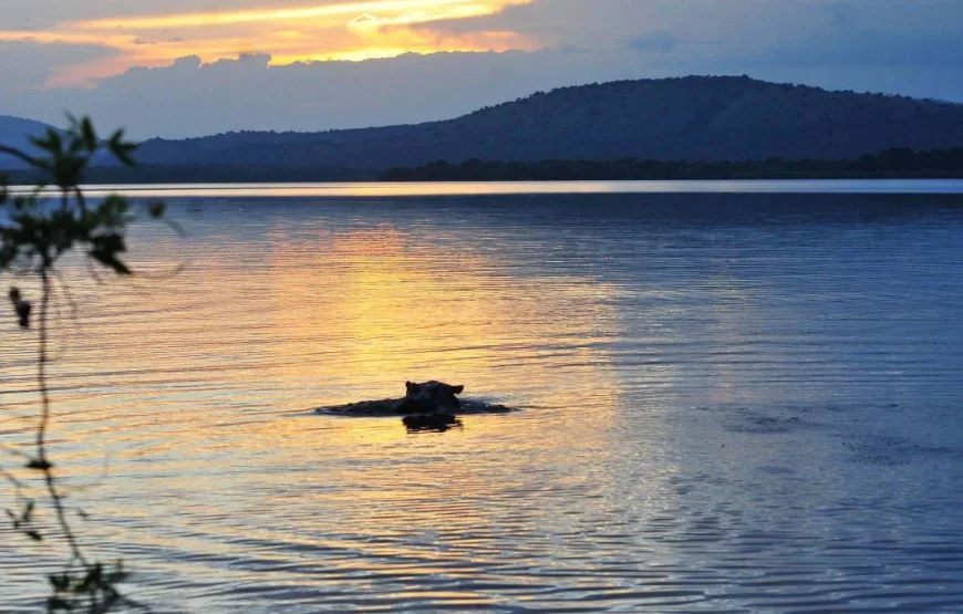 3 Days Uganda Easter Holiday in Lake Mburo