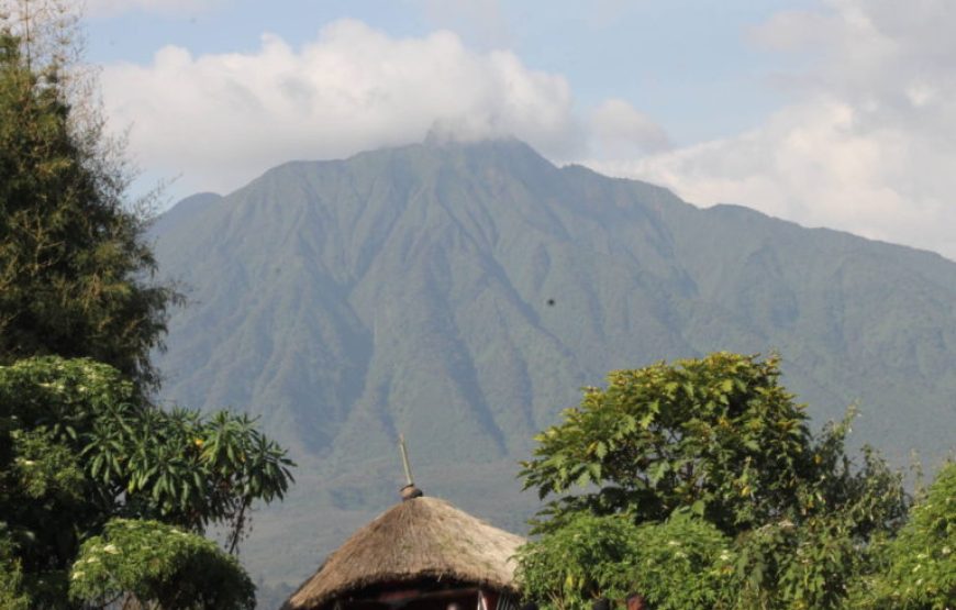 4 Days Gorillas & Volcanoes