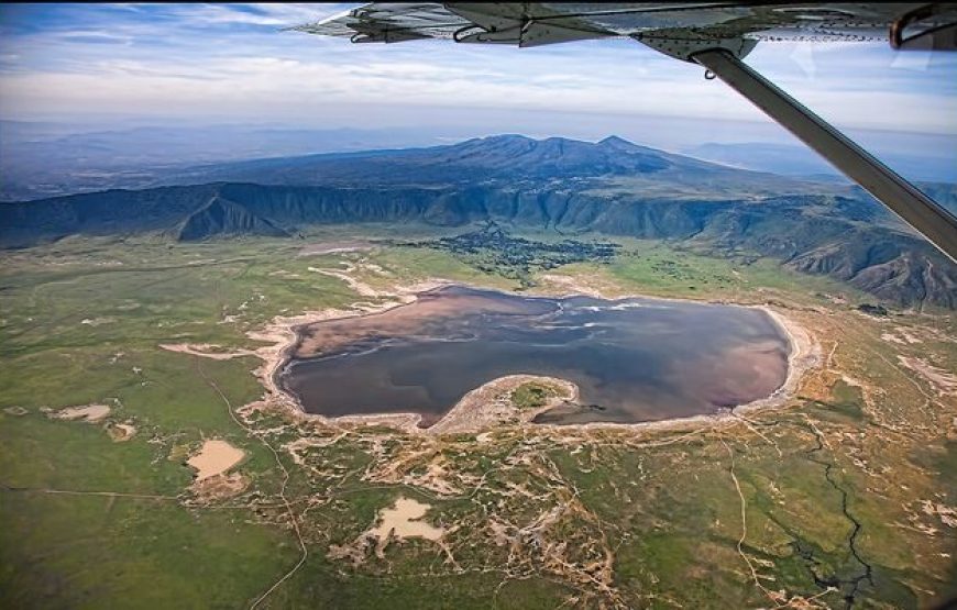 5 Days Ngorongoro and Chimpanzee Safari