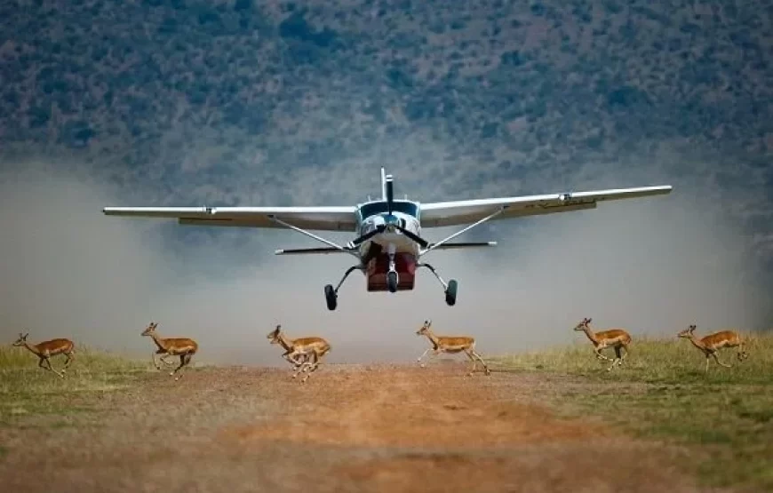 5 Days Fly-in Uganda Safari