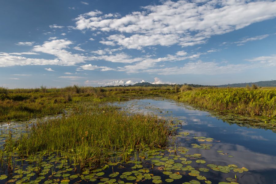 7 Days January Tour in Uganda