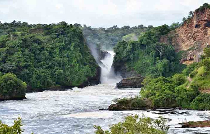 6 Days Uganda Luxury Safari