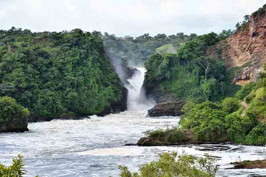 6 Days Uganda Luxury Safari