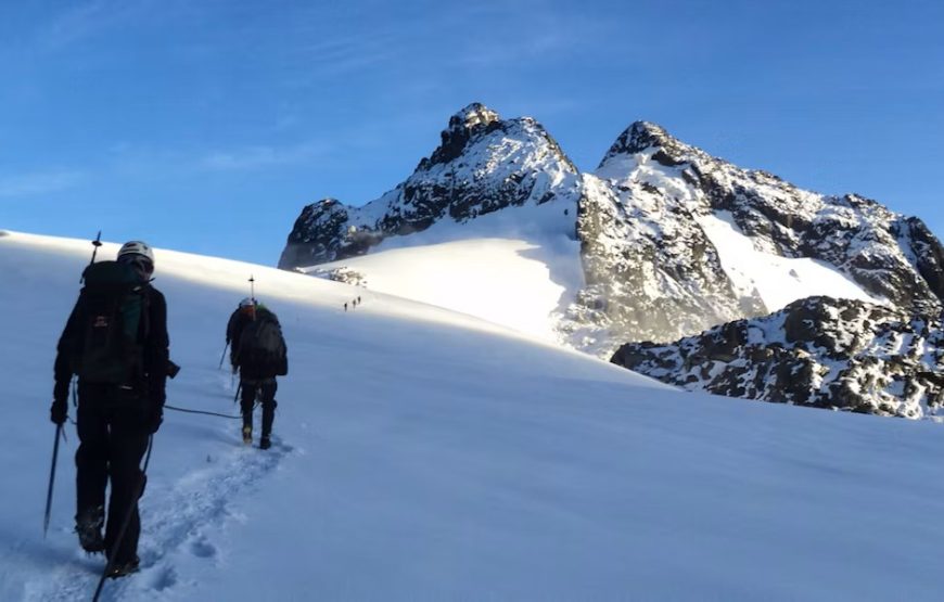 12 Days Mount Rwenzori Hiking and Gorilla Trekking Safari