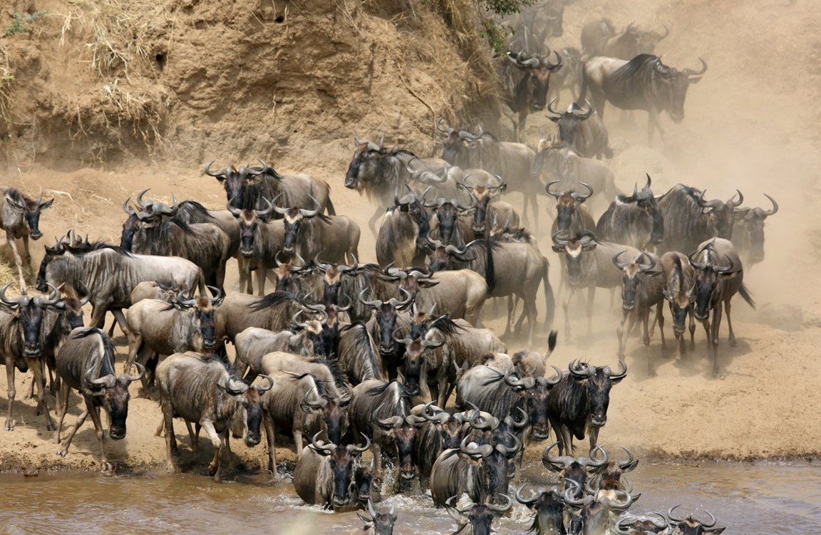 Day 8: Serengeti National Park