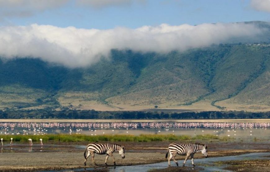 6 Days Western Uganda Safari