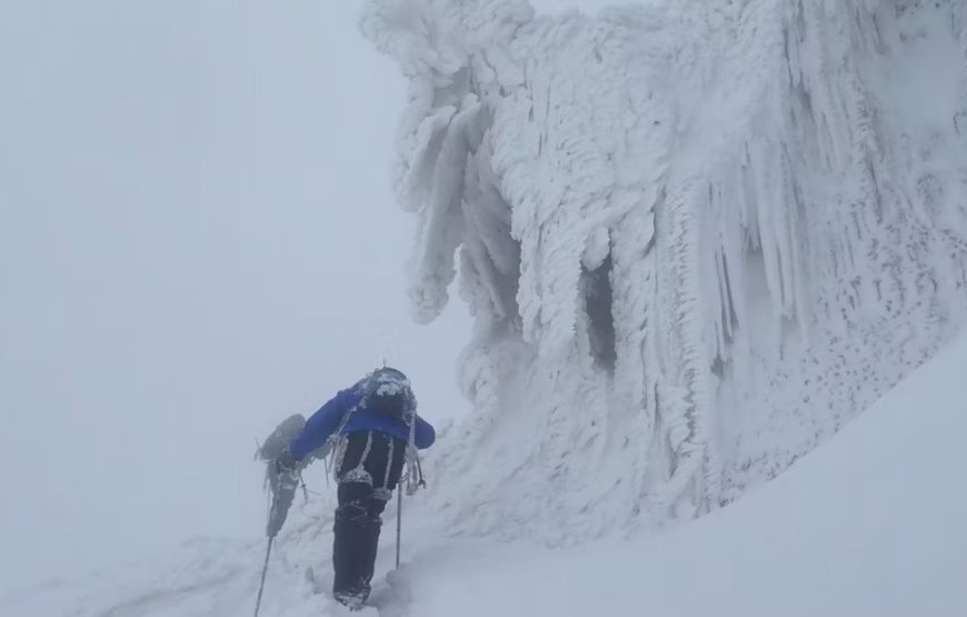 12 Days Mount Rwenzori Hiking and Gorilla Trekking Safari