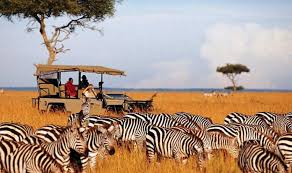 Day 2: Amboseli National Park