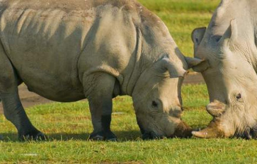 7-Day Kenya Budget Adventure Safari