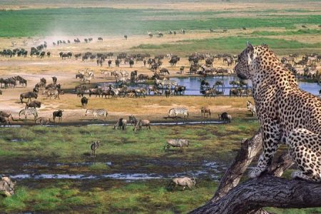 Ngorongoro Facts