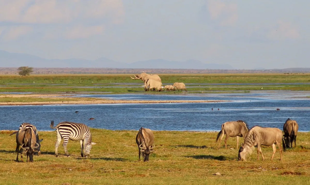 Day 2: Amboseli National Park