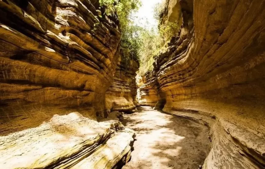 7-Day Kenya Standard Safari